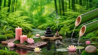 Gentle Relaxing Music 🌿 Heal Body & Soul, Relieve Stress, Anxiety & Depression • Deep Sleep 😴 screenshot 1