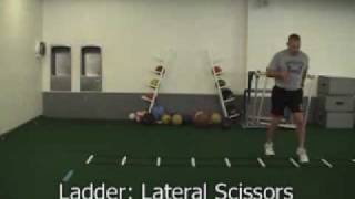 ladder lateral scissors