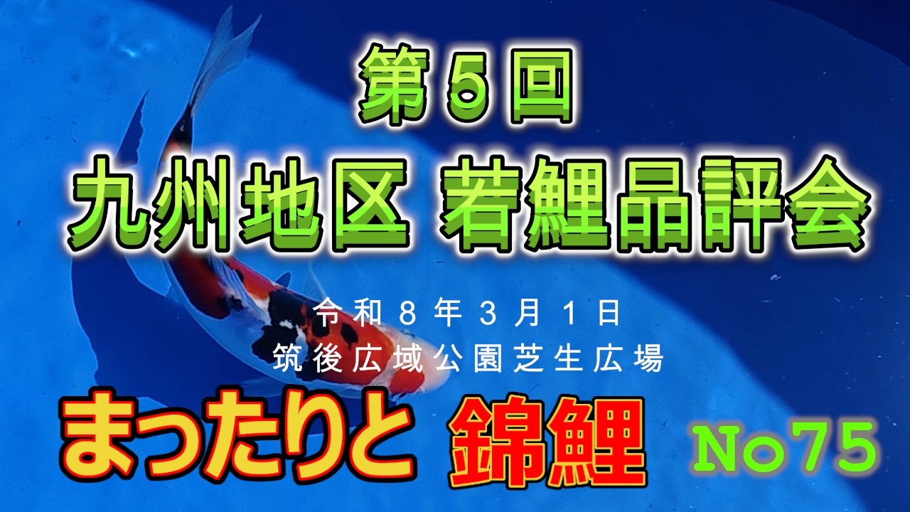 まったりと錦鯉No75【 第5回九州地区若鯉品評会】