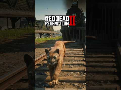 Train vs Animals in Red dead redemption 2 🔥