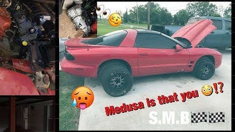 Fbody V6 to v8 swap part 2 😎🥳