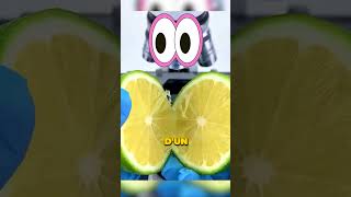 Que Y A-T-Il Dans Le Citron ?