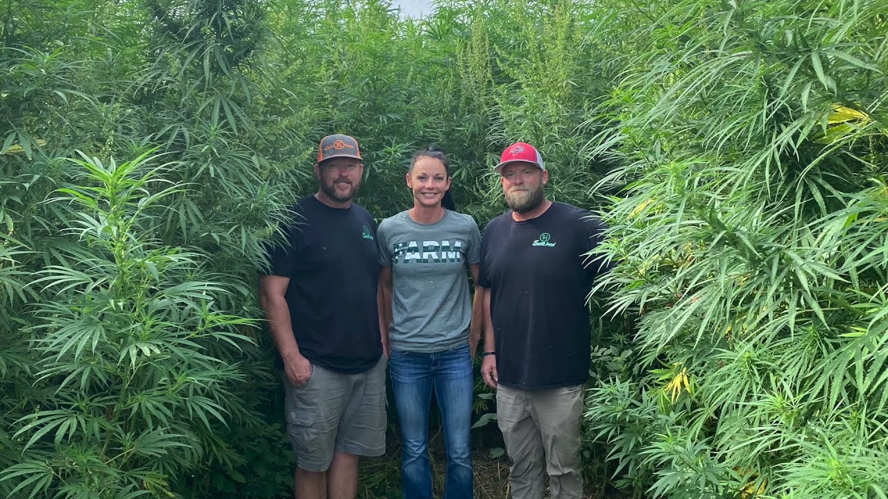 Kansas Grown Hemp YouTube
