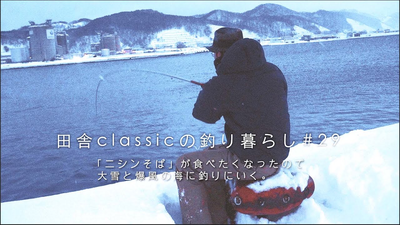 ニシン釣り 極寒の留萌港にニシンを釣りに行く Youtube