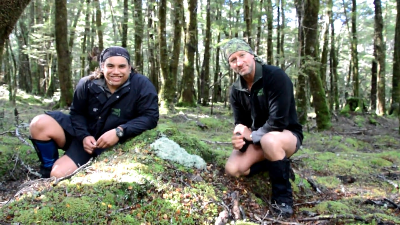 What is Coral Lichen?