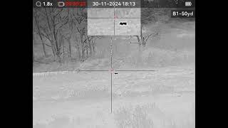 Bergara Ba13 308W Su Cinghiale