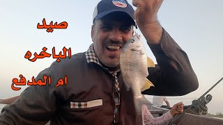 صيد الشانك في باخرة ام المدفع #قيصر_الصياد 
