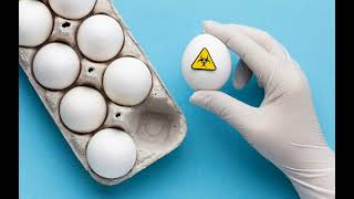 Яйца и холестерин: эксперт объяснил, какое количество этого продукта безопасно для организма.