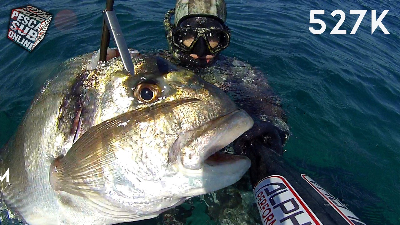 Pescasub & Apnea - Il sito per gli amanti della pesca subacquea ed Pescasub & Apnea - Il sito per gli amanti della pesca subacquea ed
