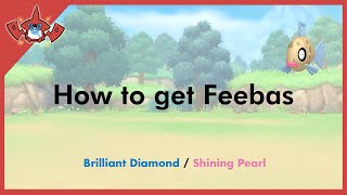 How to get Feebas in Pokemon Brilliant Diamond & Shining Pearl [#349]