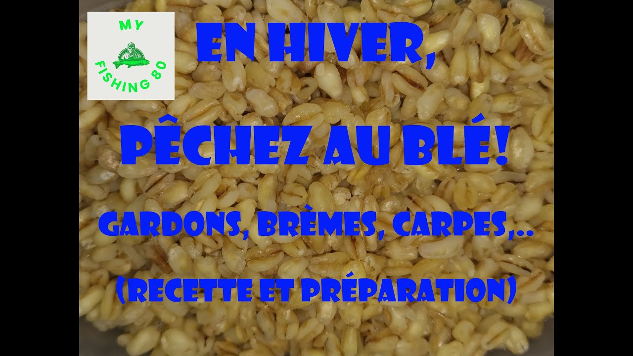 EN HIVER, Pêchez au blé, recette et préparation!!!