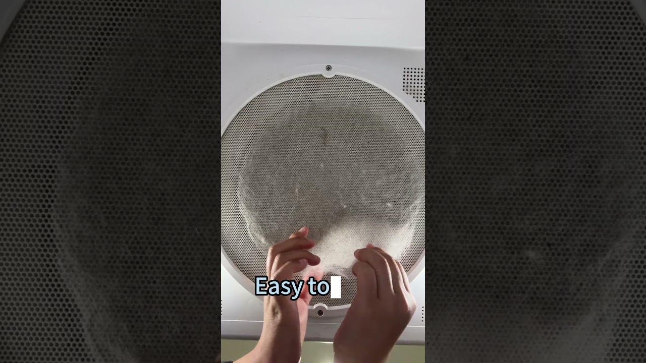 No More Fur Everywhere !!! 