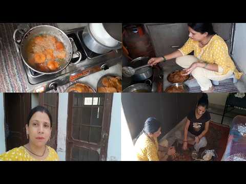 आज देखिए दोनों बहनो ने क्या बनाया स्पेशल I Shraddha Shree Vlogs