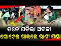 ତଳେ ପଡ଼ିଲା ଅବଢା ଗୋଟେଇ ଖାଇଲେ ରାଣୀ ପଣ୍ଡା - Rani Panda || Odia Mirchi 