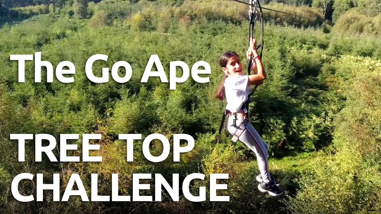 Go Ape Tree Top Challenge Cannock Chase 19 Youtube