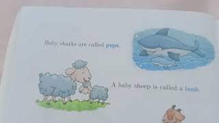 Class 2nd EVS Lesson-8  (More on animals )