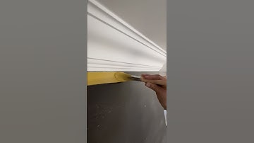 CUTTING IN LIKE A PRO #paintwarrior #youtube #ytshorts #viral #tips