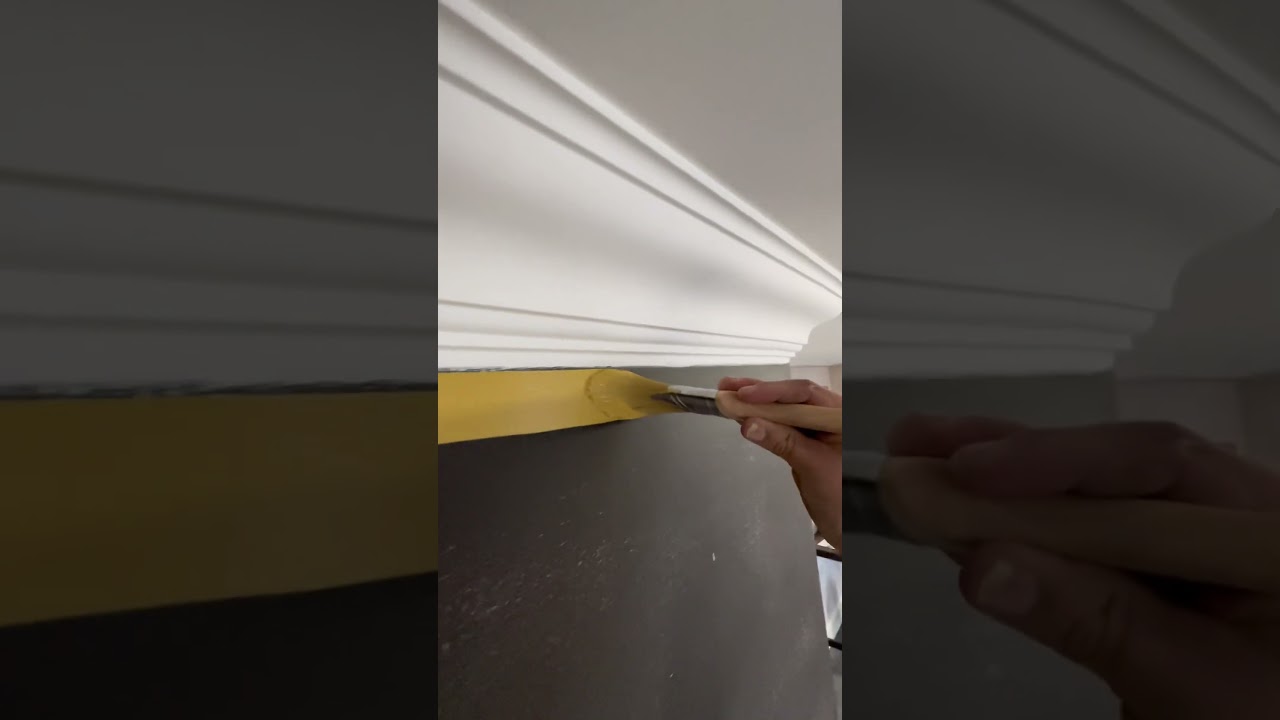 CUTTING IN LIKE A PRO #paintwarrior #youtube #ytshorts #viral #tips