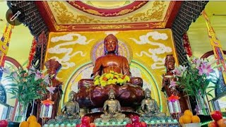 NIKAYA Giảng Giải- Những Nguy Hiểm (2) Do Mắng Nhiếc Bậc Chân Tu, Làm Ác, Phạm Giới& Tài Sản Đem Lại