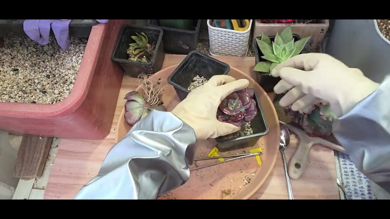 몇아이만 집찿아 줄께요