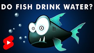 Do Fish Drink Water? / Short Version