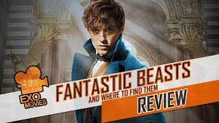 مراجعة فيلم Fantastic Beasts And Where To Find Them