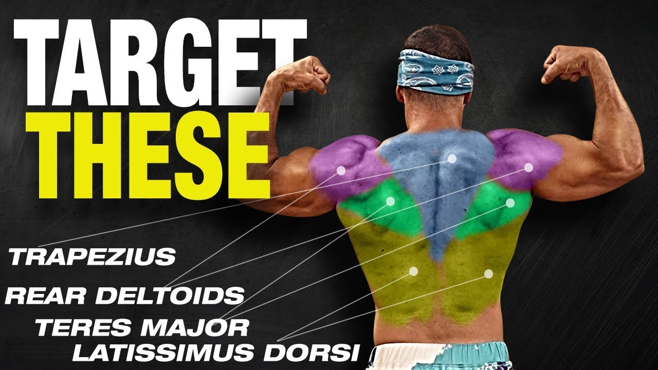 The ONLY 3 Back Exercises You Need for Mass 