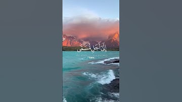 تلاوة خاشعة من سورة الحج للقارئ رعد الكردي #قرآن #quran #تلاوة_خاشعة #اذكروا_الله_يذكركم #أذكار
