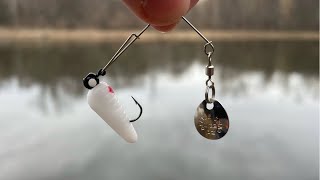 Fishing a BEETLE SPIN for MONSTER Bass!!
