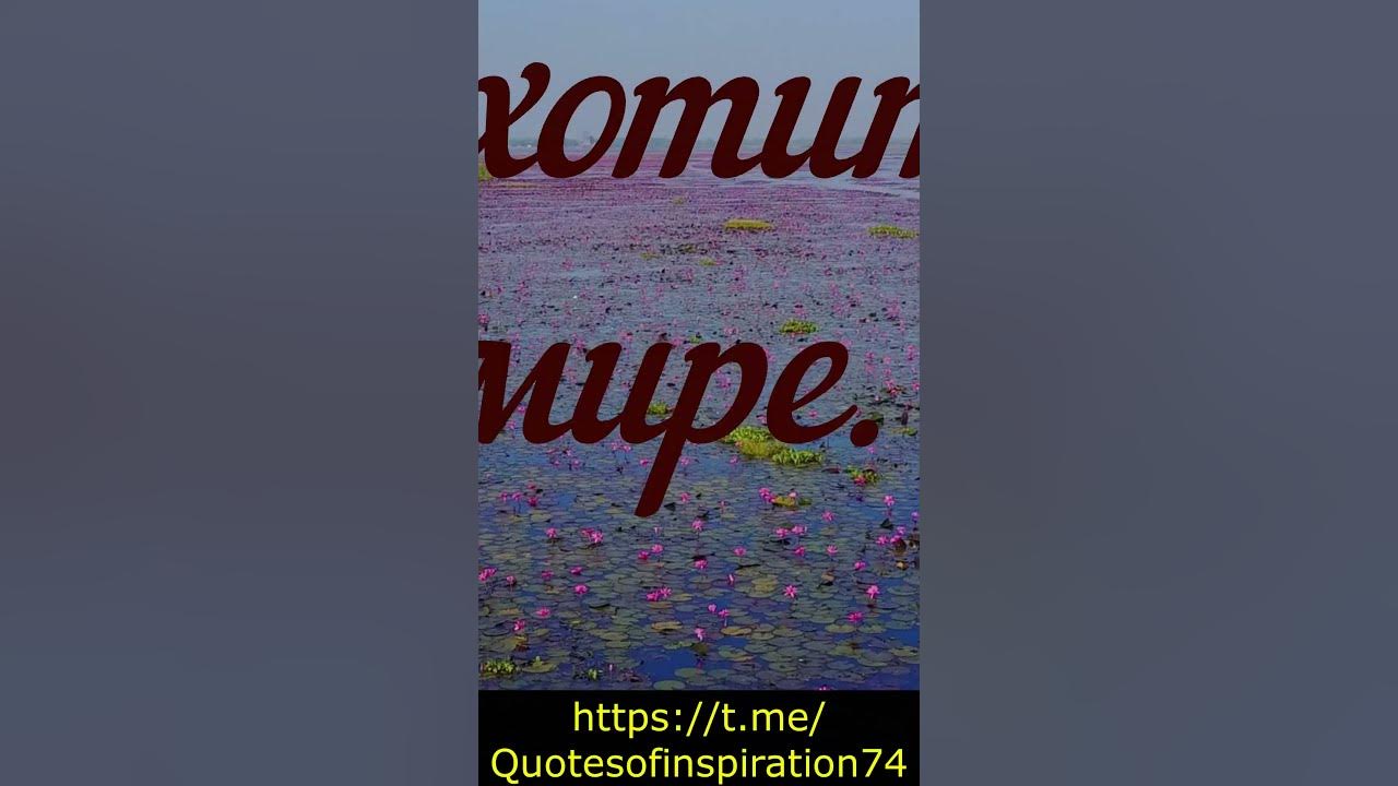 Абрахам Линкольн. #лучшие #афоризмы #мудрые #факты - YouTube