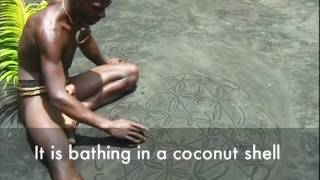 Vanuatu sand drawings