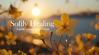 Inner Calm Guitar Music 🌼🎸 Sleep, Relax \u0026 Heal Your Emotions | The Healing Guitar