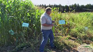 Corn - Test Plots 2019