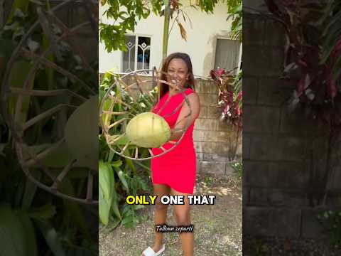 Fresh fruits from the tree🤤🇯🇲