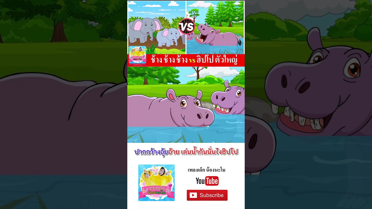 ช้าง vs ฮิปโป