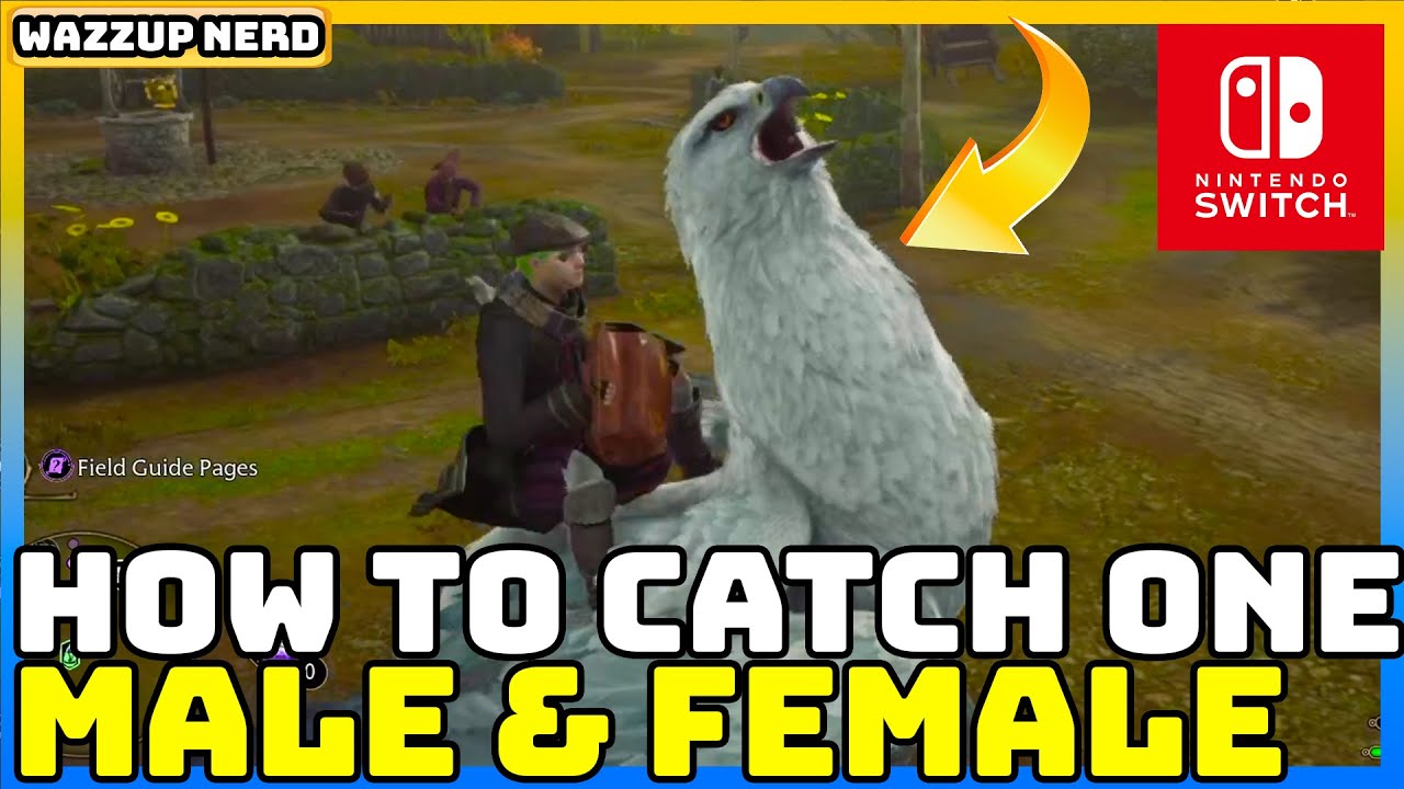 Hogwarts Legacy - How to Catch a Hippogriff (Male and Female) - Easy Guide