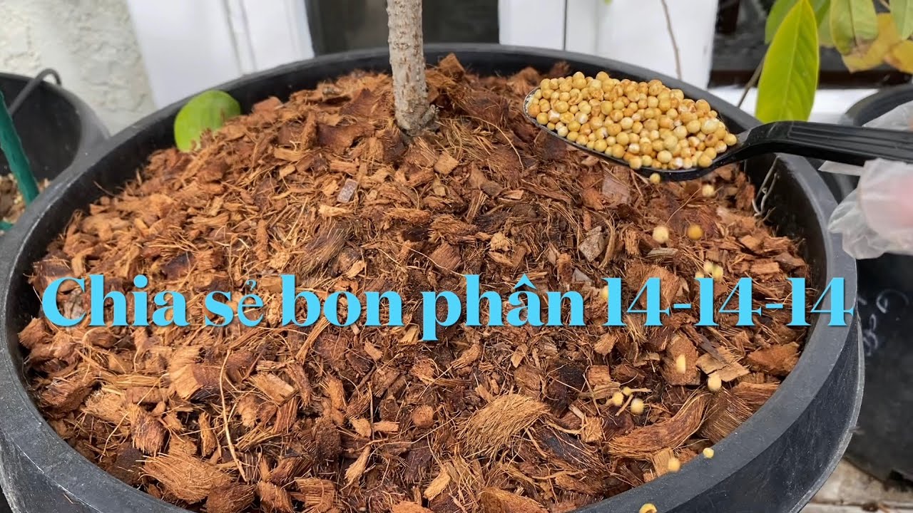 Chia Se bon phân Osmocote 14-14-14  cho Chậu ,liều luônbao nhiêu cho tất cả loại cây ltrong vườn😘