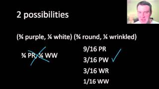 Mendelian genetics (part 2)