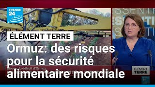 Le Blocus Du Détroit Dormuz Menace La Sécurité Alimentaire Mondiale France 24