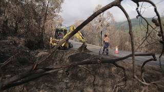Road to recovery: East Gippsland