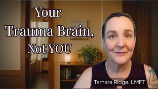 The Window of Tolerance: Why Trauma Makes You Overreact
