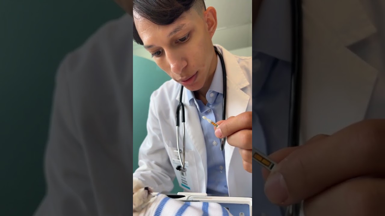 The Shih Tzu Fever Mystery: Unraveling the Canine Crisis