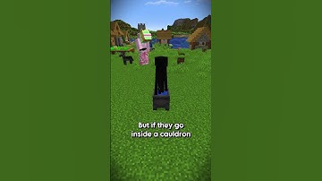 Cauldrons BREAK minecraft.. 🪄🫕