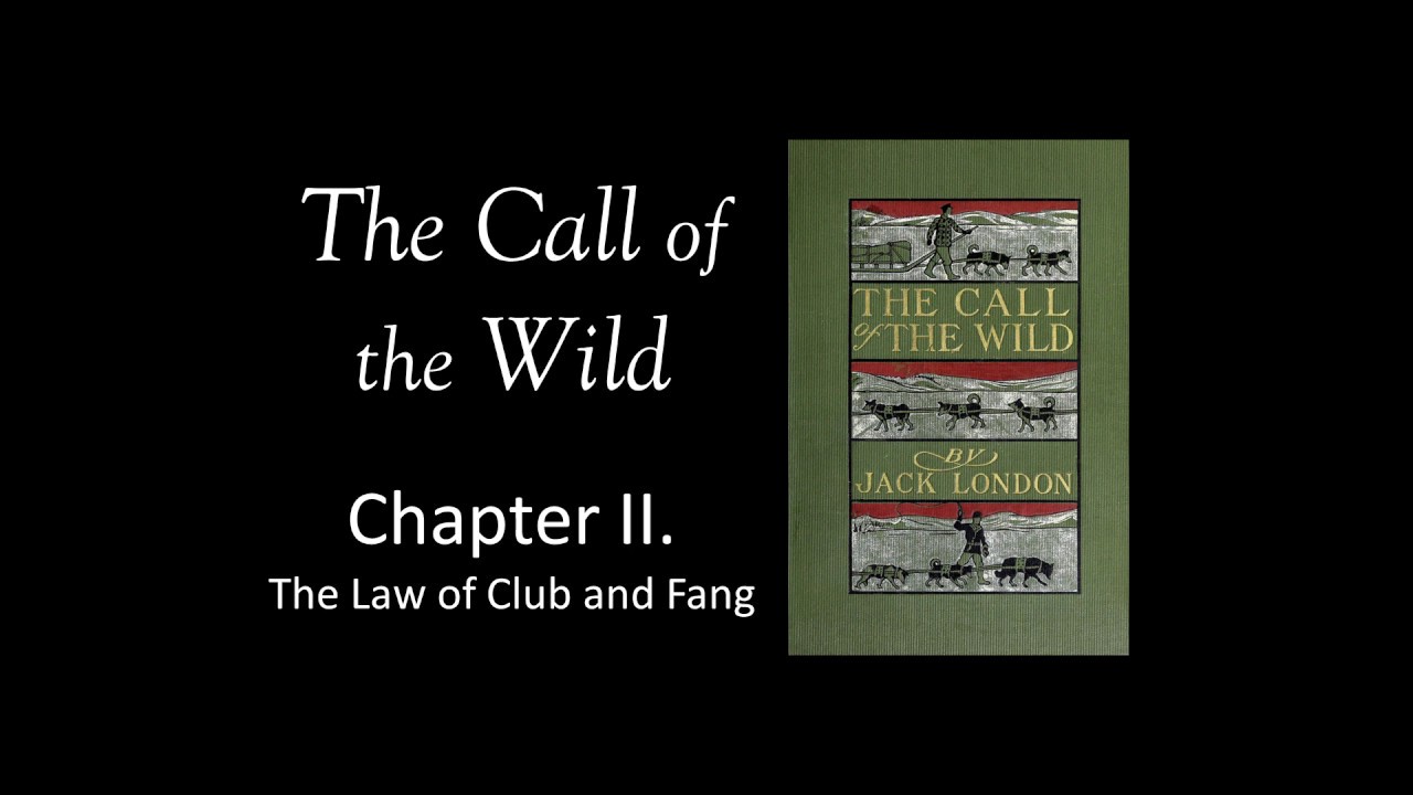 The Call of the Wild Audio Book - Chapter 2 - YouTube