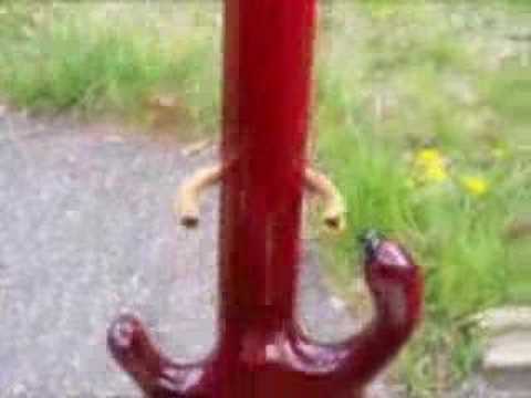 pedulla-pentabuzz-5-string-fretless-bass