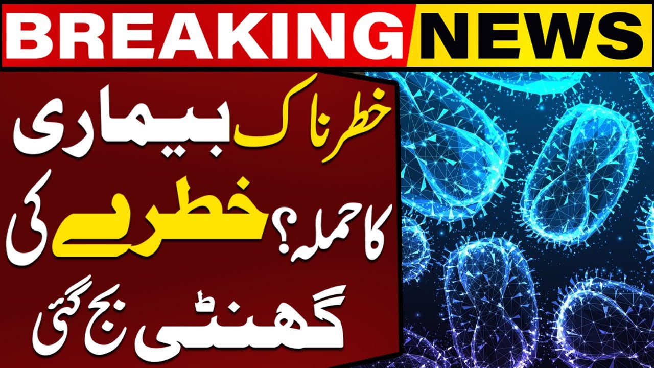 Karachi Reports Sindh's First Monkeypox Case | Capital TV - YouTube