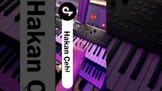 Download Lagu Sevdim #yamaha #korg #hakançebi MP3