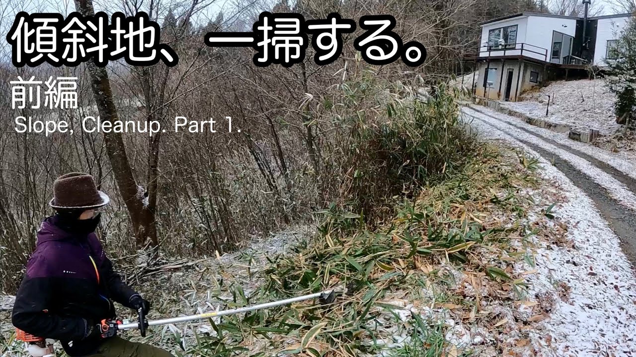 山の大掃除。年内に荒れた崖をスッキリ。小動物に遊ばれる。Clear rough cliffs. Played by small animals.