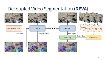 Tracking Anything with Decoupled Video Segmentation