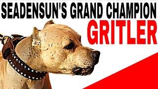 Seadensuns Grand Champion Gritler Rom - Register Of Merit